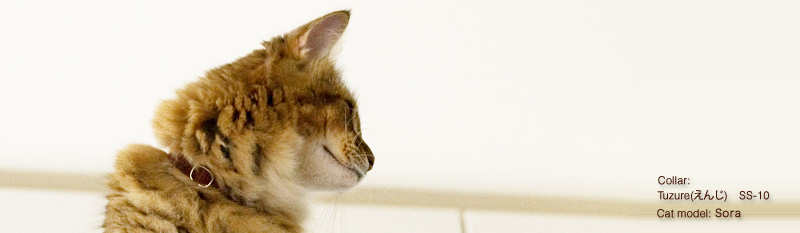 つづれの猫の首輪