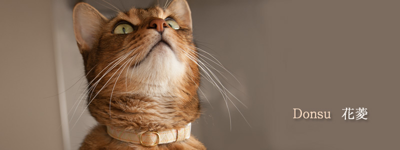 猫の首輪 和柄 緞子 花菱