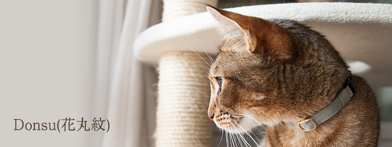 猫の首輪 和柄 緞子 花丸紋