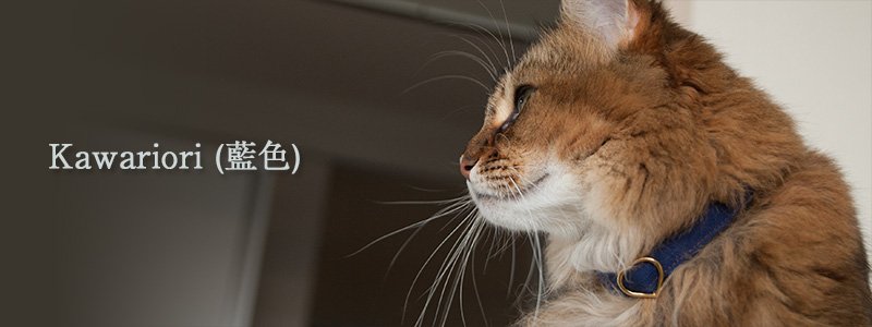 猫の首輪 和柄 Kawariori(藍色)