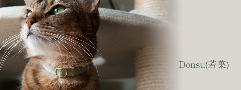 猫の首輪 和柄 緞子(若葉)