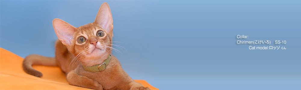 猫の首輪 Tango Chirimen (こけいろ)