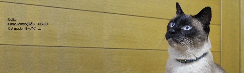 猫の首輪 Samekomon (るり)