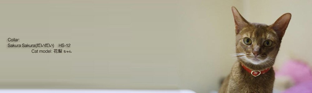 猫の首輪 Sakura Sakura (だいだい)