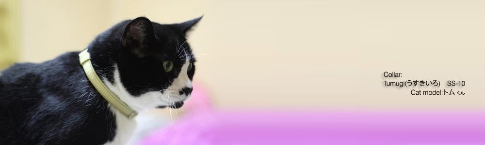 猫の首輪 Tumugi (うすきいろ)
