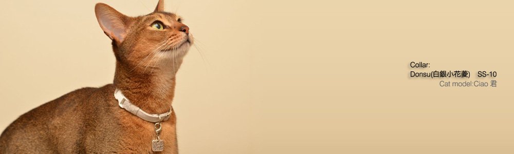 猫の首輪 Donsu(白銀小花菱)