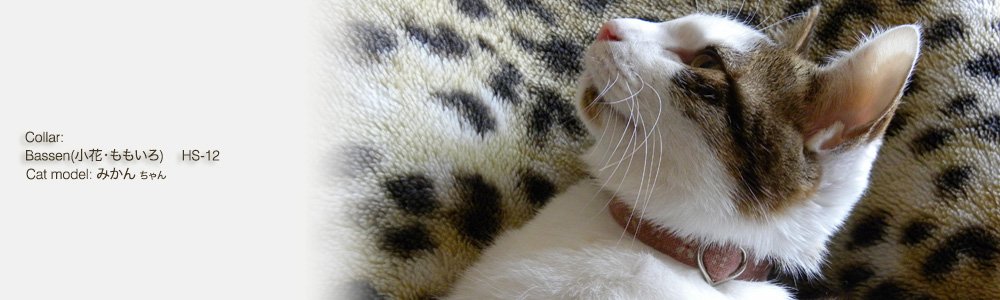 猫の首輪 Bassen (小花・ももいろ)