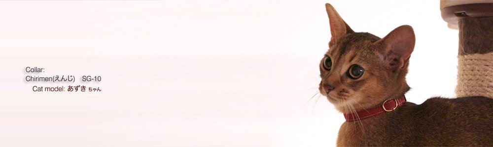 猫の首輪 Tango Chirimen (えんじ)