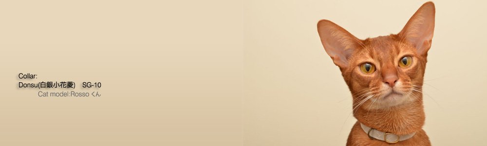 猫の首輪 Donsu(白銀小花菱)