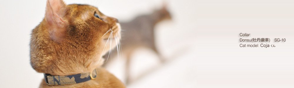 猫の首輪 Donsu(牡丹唐草)