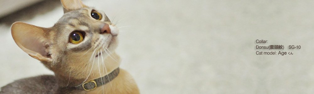 猫の首輪 Donsu(雲頭紋)