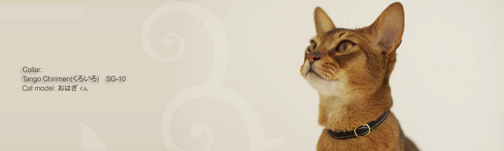 猫の首輪 Tango Chirimen (くろいろ)