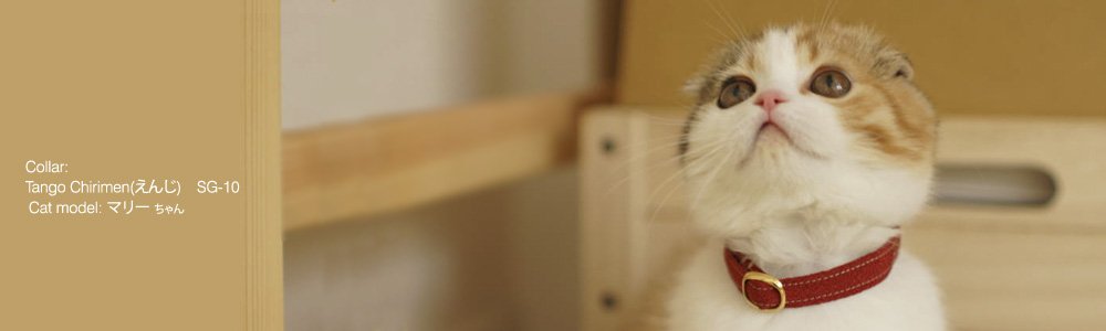 猫の首輪 Tango Chirimen (えんじ)