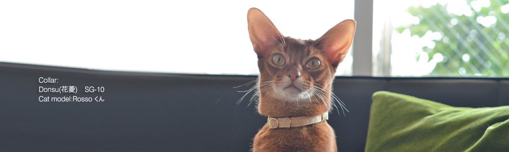 猫の首輪 Donsu(花菱)