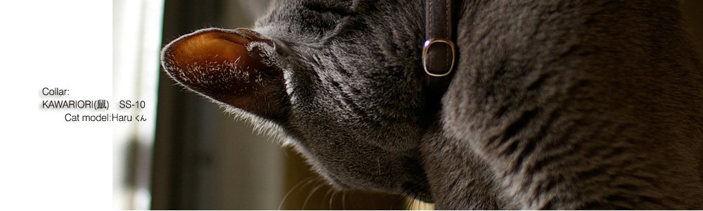 猫の首輪 Kawariori (鼠)