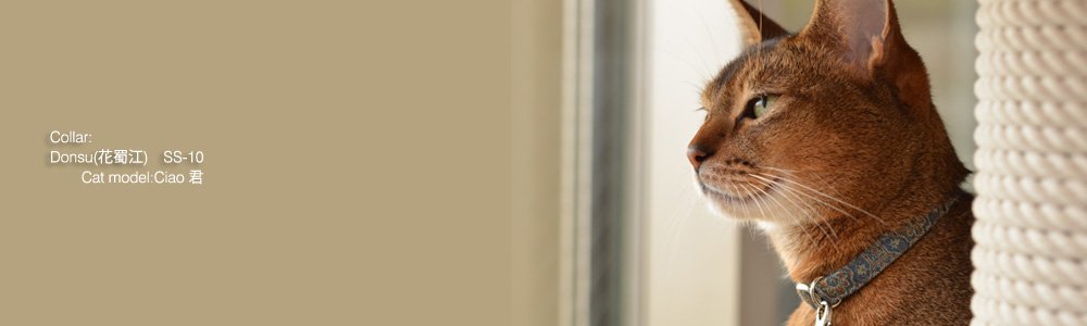 猫の首輪 Donsu(花蜀江)