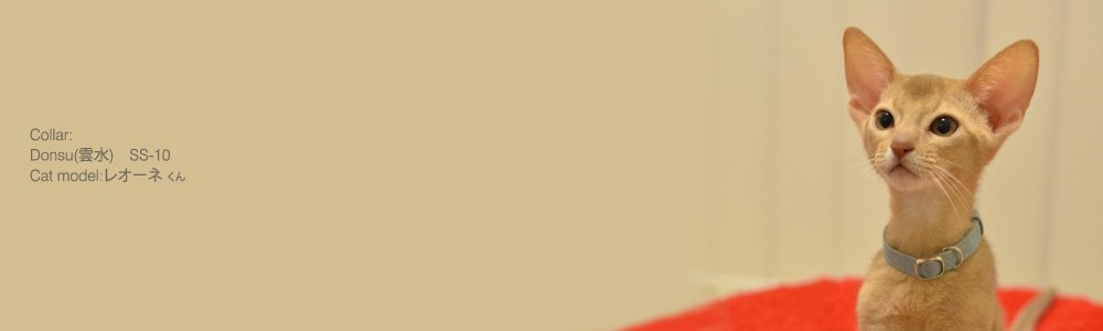 猫の首輪 Donsu(雲水)