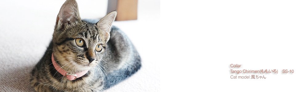 猫の首輪 Tango Chirimen(ももいろ)