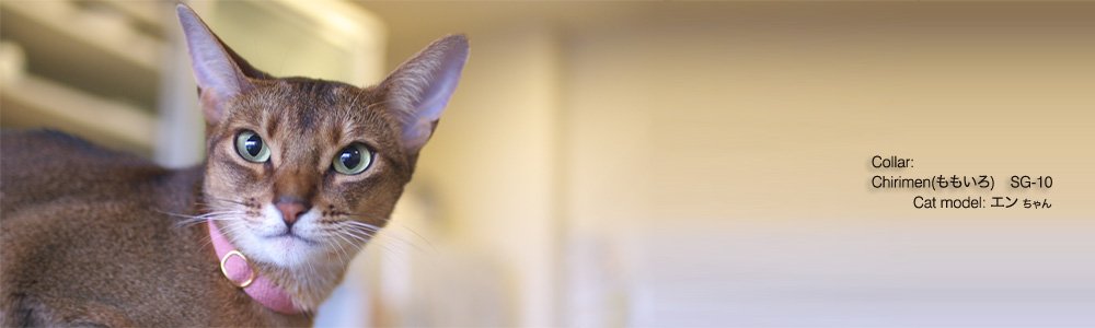 猫の首輪 Tango Chirimen (ももいろ)