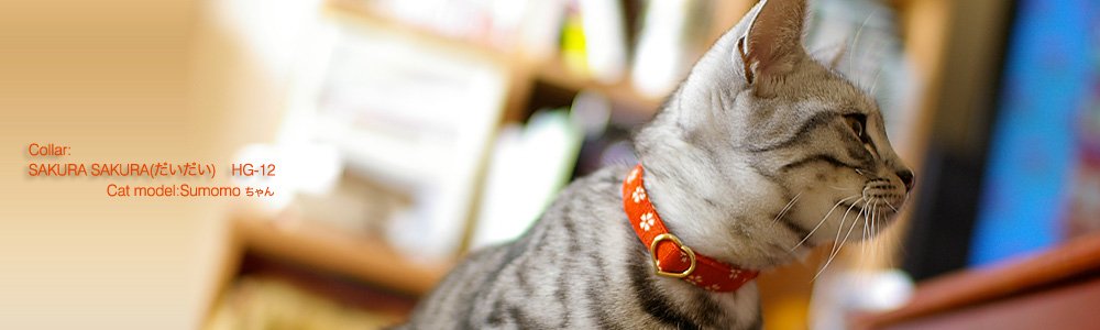 猫の首輪 Sakura Sakura (だいだい)