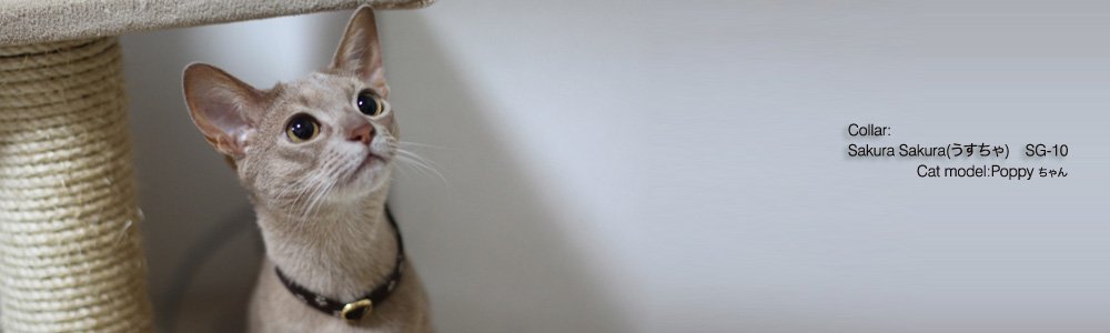 猫の首輪 Sakura Sakura (こげちゃ)